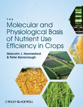 Hawkesford / Barraclough |  The Molecular Basis of Nutrient Use Efficiency in Crops | Buch |  Sack Fachmedien