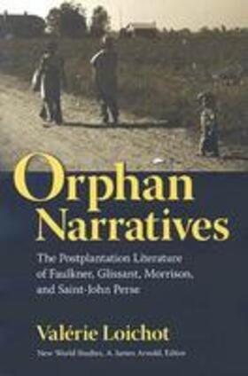  Orphan Narratives | Buch |  Sack Fachmedien