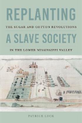 Luck |  Replanting a Slave Society | eBook | Sack Fachmedien