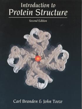 Branden / Tooze |  Introduction to Protein Structure | Buch |  Sack Fachmedien