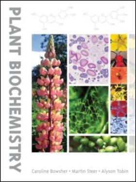 Bowsher / Steer / Tobin |  Plant Biochemistry | Buch |  Sack Fachmedien