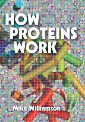 Williamson |  How Proteins Work | Buch |  Sack Fachmedien