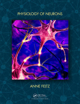 Feltz |  Physiology of Neurons | Buch |  Sack Fachmedien