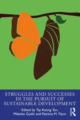 Tan / Gudic / Flynn |  Struggles and Successes in the Pursuit of Sustainable Development | Buch |  Sack Fachmedien