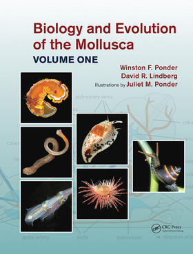 Ponder / Lindberg |  Biology and Evolution of the Mollusca, Volume 1 | Buch |  Sack Fachmedien