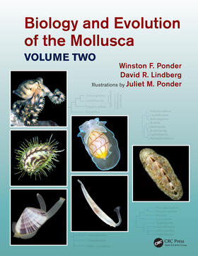 Ponder / Lindberg |  Biology and Evolution of the Mollusca, Volume 2 | Buch |  Sack Fachmedien