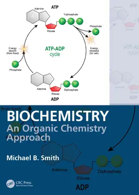 Smith |  Biochemistry | Buch |  Sack Fachmedien