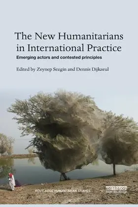 Sezgin / Dijkzeul |  The New Humanitarians in International Practice | Buch |  Sack Fachmedien