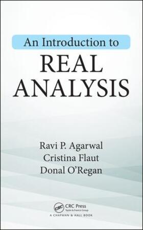 Agarwal / Flaut / O'Regan |  An Introduction to Real Analysis | Buch |  Sack Fachmedien