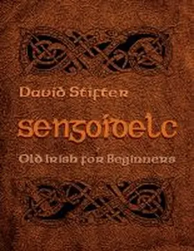 Stifter |  Sengoidelc | Buch |  Sack Fachmedien