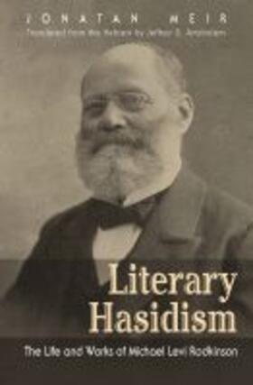 Meir |  Literary Hasidism | Buch |  Sack Fachmedien
