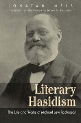 Meir |  Literary Hasidism | eBook | Sack Fachmedien