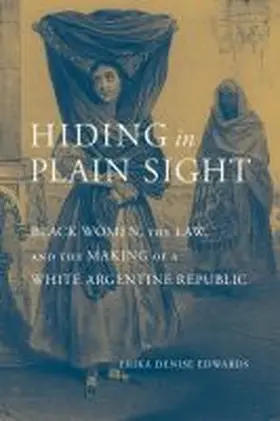  Hiding in Plain Sight | Buch |  Sack Fachmedien