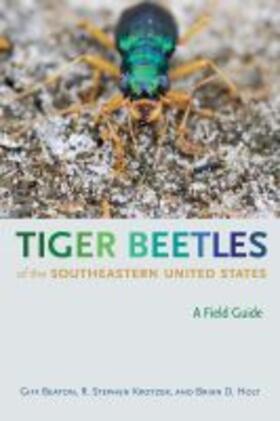 Beaton / Krotzer / Holt |  Tiger Beetles of the Southeastern United States | Buch |  Sack Fachmedien