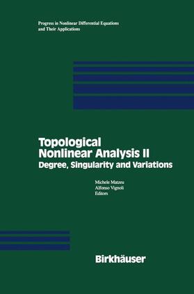 Vignoli / Matzeu |  Topological Nonlinear Analysis II | Buch |  Sack Fachmedien