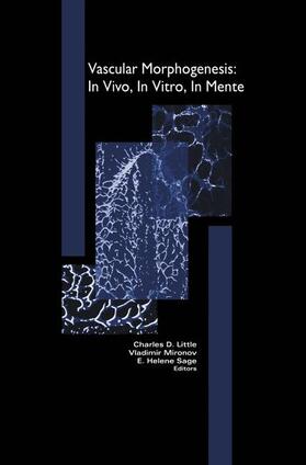 Mironov / Little / Sage |  Vascular Morphogenesis: In Vivo, in Vitro, in Mente | Buch |  Sack Fachmedien