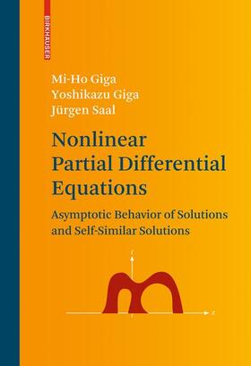 Giga / Saal |  Nonlinear Partial Differential Equations | Buch |  Sack Fachmedien