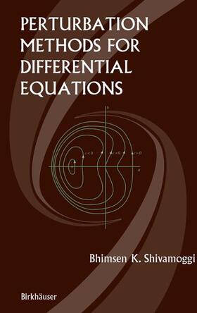 Shivamoggi |  Perturbation Methods for Differential Equations | Buch |  Sack Fachmedien