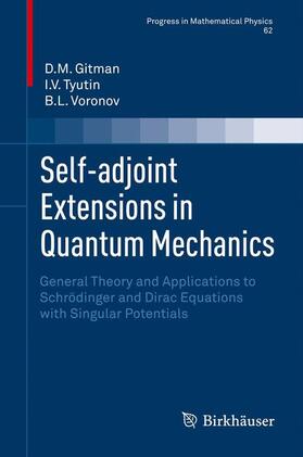 Gitman / Voronov / Tyutin |  Self-adjoint Extensions in Quantum Mechanics | Buch |  Sack Fachmedien