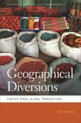  Geographical Diversions | Buch |  Sack Fachmedien