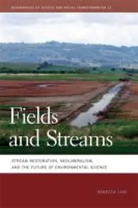  Fields and Streams | Buch |  Sack Fachmedien