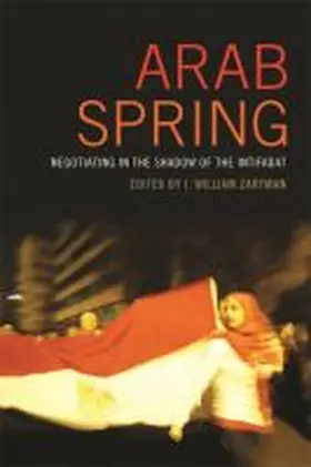  Arab Spring | Buch |  Sack Fachmedien