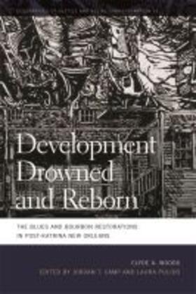 Woods / Camp / Pulido |  Development Drowned and Reborn | Buch |  Sack Fachmedien