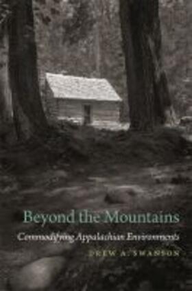 Swanson |  Beyond the Mountains | Buch |  Sack Fachmedien