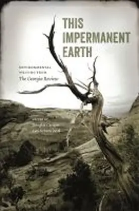 Carlson / Patel |  This Impermanent Earth | Buch |  Sack Fachmedien