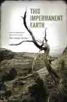 Carlson / Patel |  This Impermanent Earth | Buch |  Sack Fachmedien