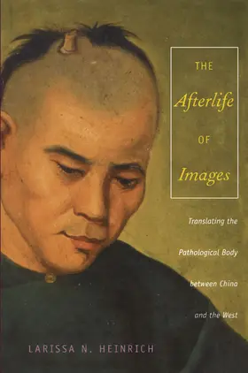 Heinrich / Appadurai / Farquhar |  The Afterlife of Images | eBook | Sack Fachmedien