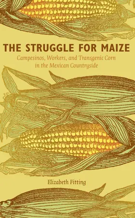 Fitting |  The Struggle for Maize | eBook | Sack Fachmedien