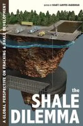 Gamper-Rabindran |  The Shale Dilemma | Buch |  Sack Fachmedien