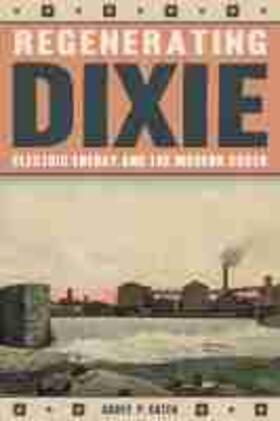 Cater |  Regenerating Dixie | Buch |  Sack Fachmedien