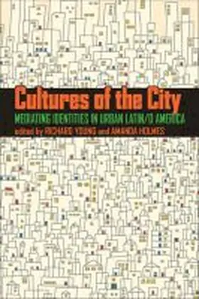 Young / Holmes |  Cultures of the City | Buch |  Sack Fachmedien