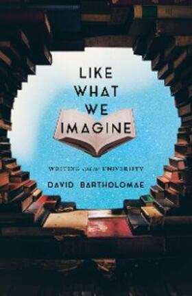 Bartholomae |  Like What We Imagine | eBook | Sack Fachmedien