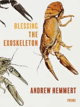 Hemmert |  Blessing the Exoskeleton | eBook | Sack Fachmedien