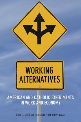 Seitz / Firer Hinze |  Working Alternatives | eBook | Sack Fachmedien