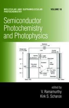 Ramamurthy / Schanze |  Semiconductor Photochemistry And Photophysics/Volume Ten | Buch |  Sack Fachmedien