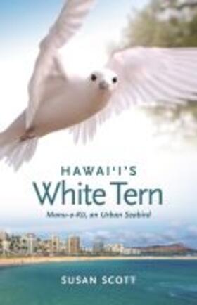 Scott |  Hawai'i's White Tern | Buch |  Sack Fachmedien
