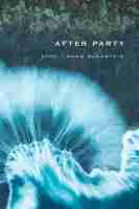 Blaustein |  After Party | Buch |  Sack Fachmedien