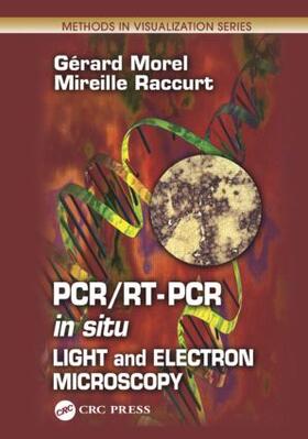 Morel / Raccurt |  PCR/RT- PCR in situ | Buch |  Sack Fachmedien