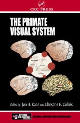 Kaas / Collins |  The Primate Visual System | Buch |  Sack Fachmedien