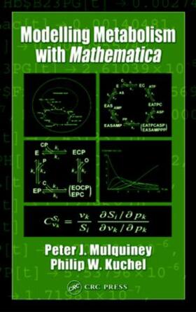 Mulquiney / Kuchel |  Modelling Metabolism with Mathematica | Buch |  Sack Fachmedien