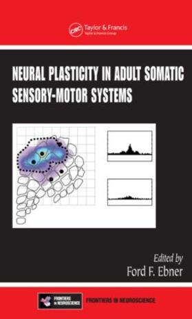 Ebner |  Neural Plasticity in Adult Somatic Sensory-Motor Systems | Buch |  Sack Fachmedien