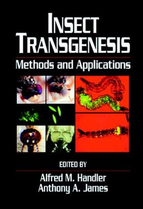 Handler / James |  Insect Transgenesis | Buch |  Sack Fachmedien