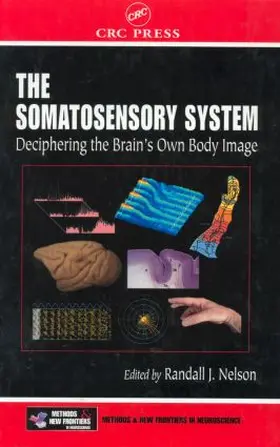 Nelson |  The Somatosensory System | Buch |  Sack Fachmedien