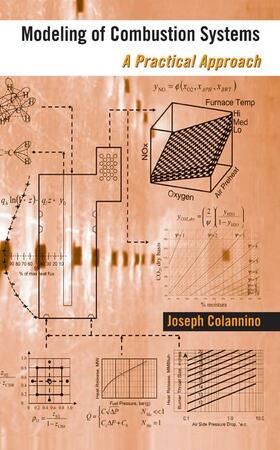 Colannino |  Modeling of Combustion Systems | Buch |  Sack Fachmedien