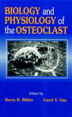 Rifkin / Gay |  Biology and Physiology of the Osteoclast | Buch |  Sack Fachmedien