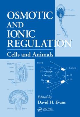 Evans |  Osmotic and Ionic Regulation | Buch |  Sack Fachmedien